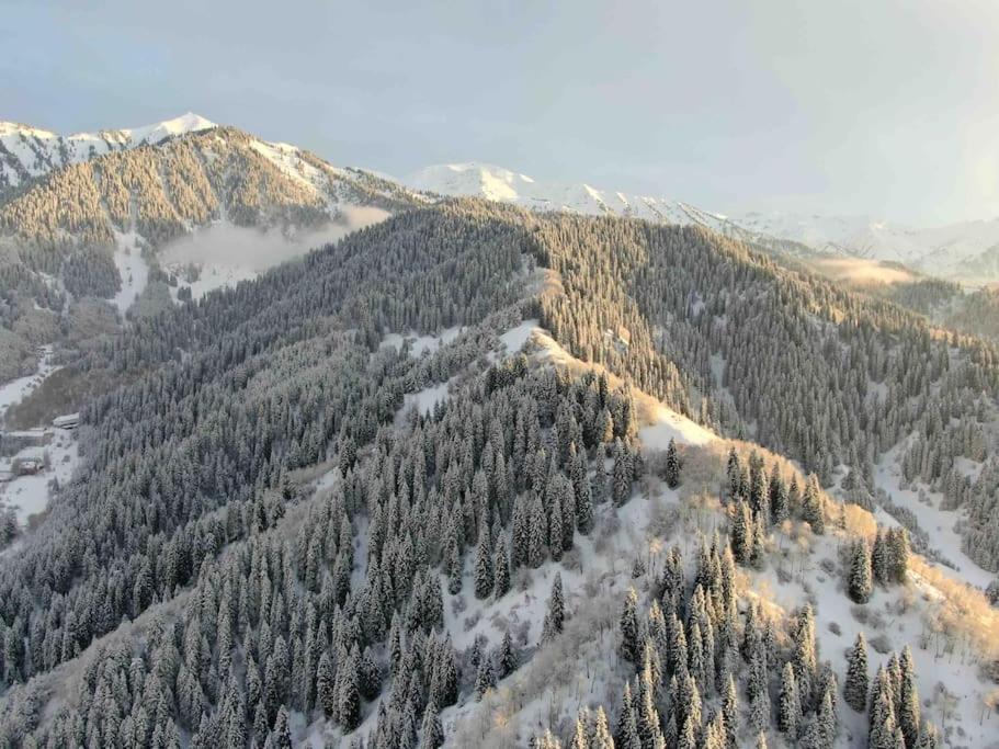 Chalet домик в горах